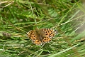 02 08 12_3123_edited-1